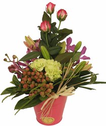 pink flowers