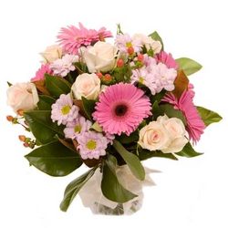 pink flowers