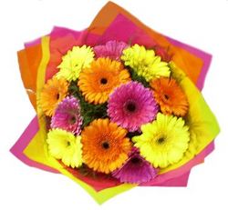 gerbera flowers perth