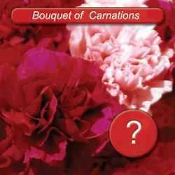 carnations bouquet