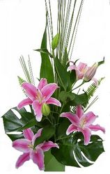 pink lilies Perth