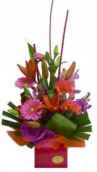 Box arrangement bright seasonal flowers