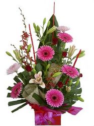 pink flowers
