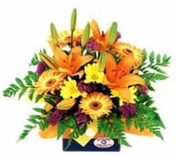 Seasonal flowers bright box arrangement