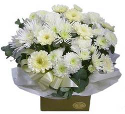 white flowers perth
