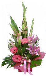 pink flowers perth