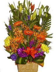 flower basket perth