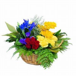 perth flower basket delivery