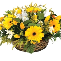 flower basket perth delivery