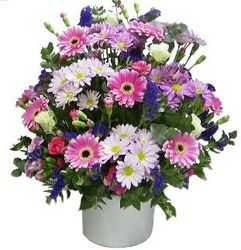 arrangement flowers Perth