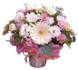pastel flowers