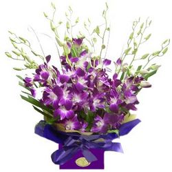 singapore orchids perth