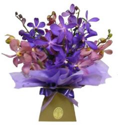 perth orchids