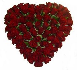 heart of roses Perth Australia