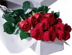 boxed roses perth australia