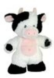 Teddy - Have you had your hug today?