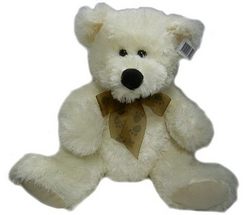 teddy cream perth