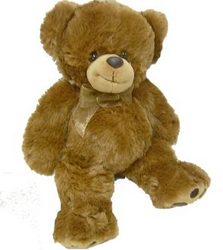 brown bear perth