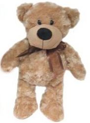 cream teddy perth