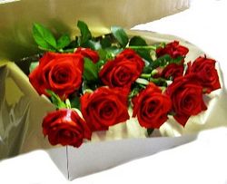Valentines boxed roses Perth
