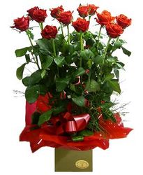 arrangement roses Perth, Australia