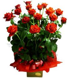roses arrangement Perth, Australia