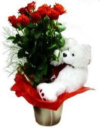 Perth Valentine roses