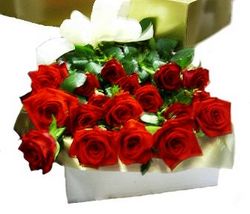 Valentines boxed roses Perth