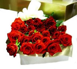 Valentines  roses Perth