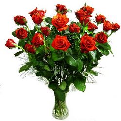 Valentine roses Perth Australia