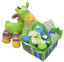 new baby gift perth