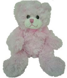cream teddy perth