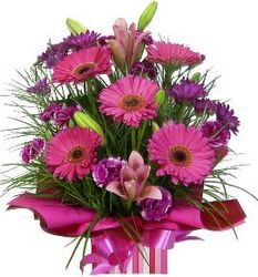 pink flowers