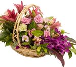 sympathy basket perth