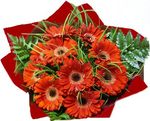 red gerberas perth