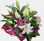 oriental lily bouquet perth