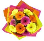 gerbera flowers perth