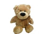 cream teddy perth