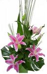 pink lilies Perth
