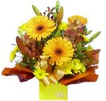bright flowers perth