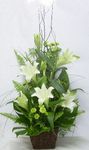 funeral flowers perth