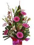 pink flowers