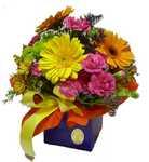 box of flowers perth
