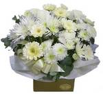 white flowers perth