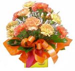 carnations Perth