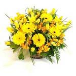 Perth flower delivery