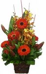 red basket of flowers perth