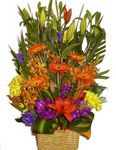 flower basket delivery perth