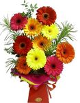 gerberas Perth