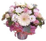 pastel flowers